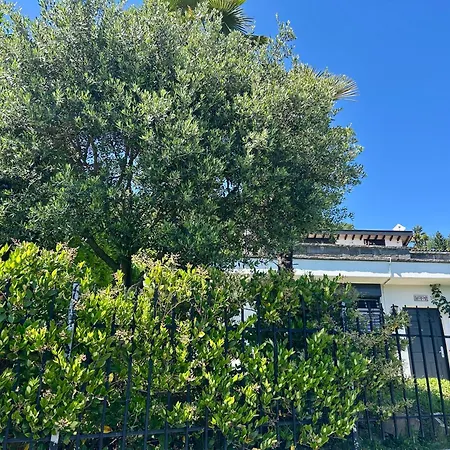Σπίτι διακοπών Single Family House With View In Carona *