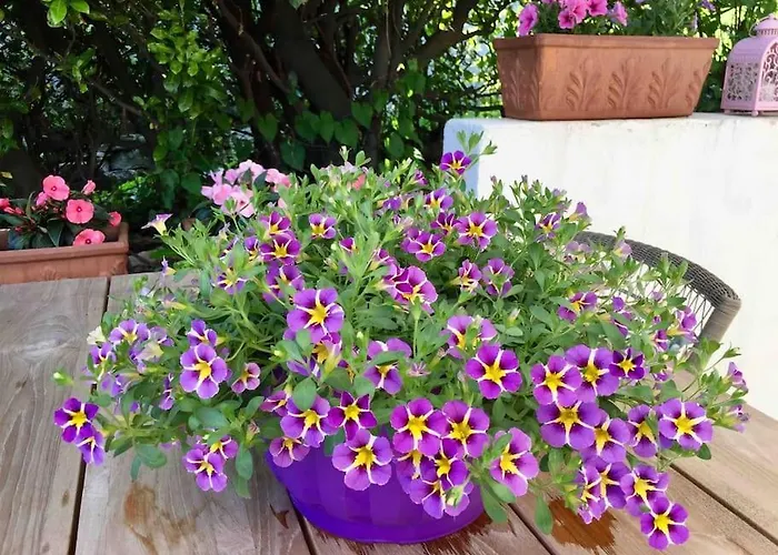 Single Family House With View In Carona * Lugano