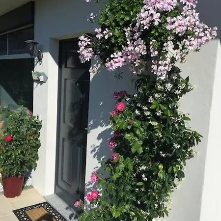 Single Family House With View In Carona Casa vacanze Lugano