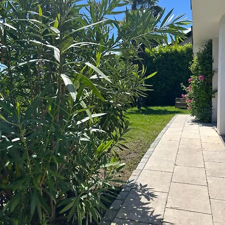 Single Family House With View In Carona *